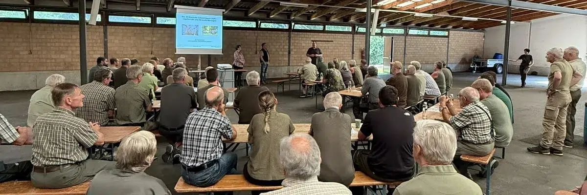 Weiterbildung JVDT 2025